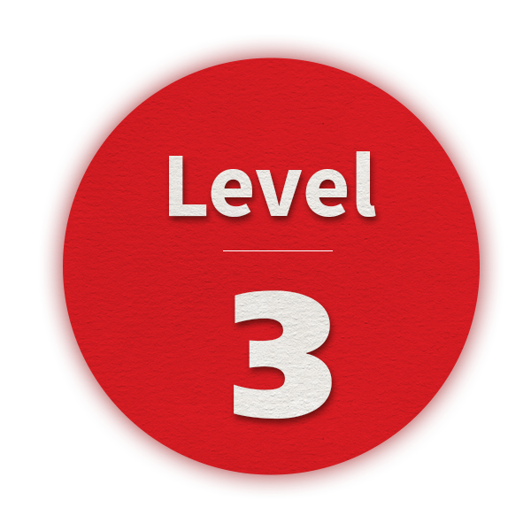 Level3